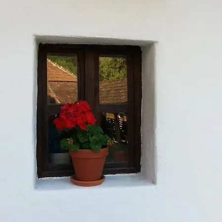 Zempleni Pitvaros Piheno Gasthuis