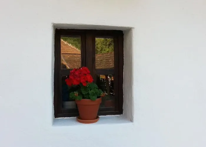 Zempleni Pitvaros Piheno Penzion